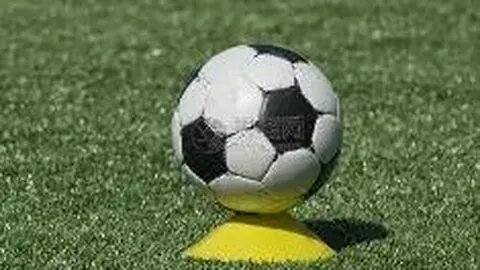 8868体育 资讯 114833 un4