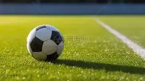 8868体育 资讯 114818 gv3