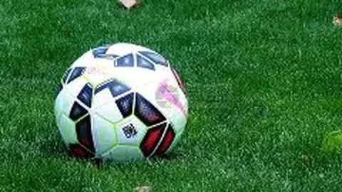 8868体育 资讯 115848 eed