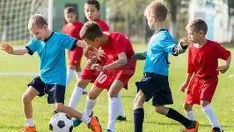 黄金ETF(518800)主力资金净流出3405.28万元，位列同类基金前二（截至20251124）